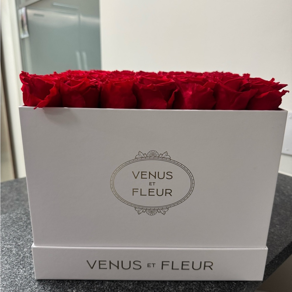 Venus Et Fleur Red Rose Box